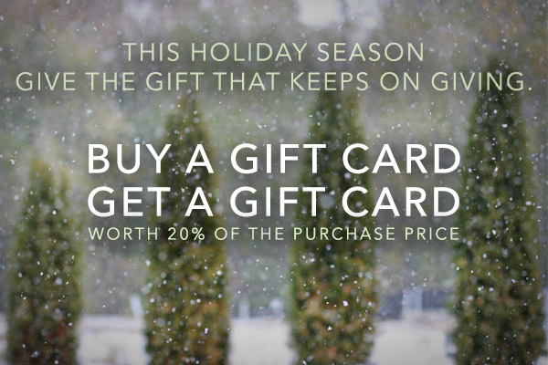 Give the gift that keeps giving - buy a gift card, get a gift card worth 20% of the purchase price!